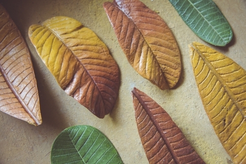 Paper Mache Autumn Leaves - Australian Stock Image