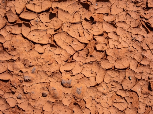 parched earth cracked dried mud - Australian Stock Image