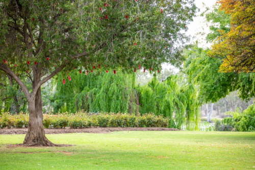 Park on a quiet day - Australian Stock Image