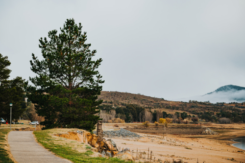 path by a dry lakebed with a large tree and hills - Australian Stock Image