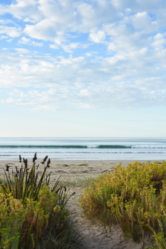 Path leading to beach in the early morning - Australian Stock Image