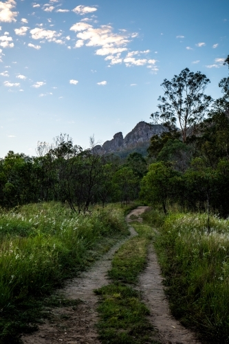 Pathway leading toward bushland and mountains with green grass under a blue sky