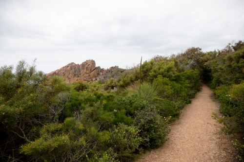 Pathway through green scrub vegetation with cloudy sky - Australian Stock Image