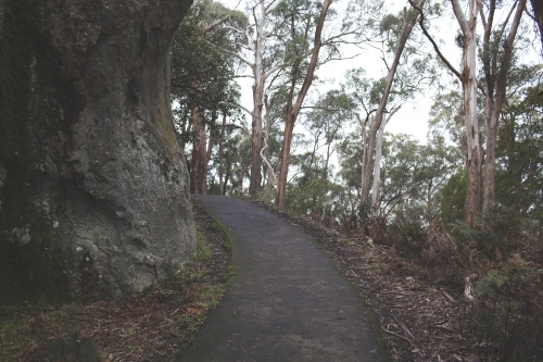 Pathway winding around a cliff face