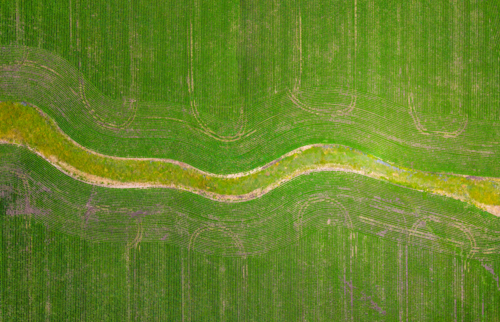 Patterns from the sky of Corn farm near Glen Innes, New South Wales - Australian Stock Image