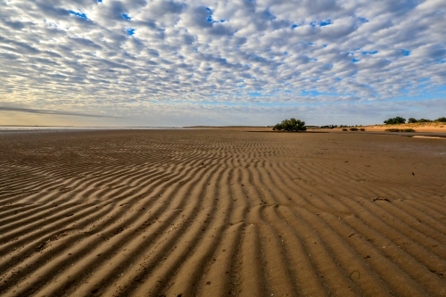 Patterns in sand leading to sun rising behind lone tree at low tide - Australian Stock Image