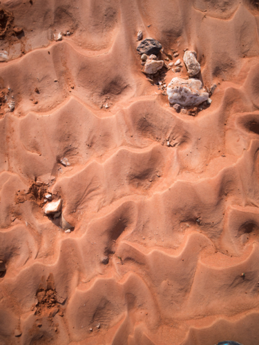 Patterns in the red dirt in outback Australia - Australian Stock Image