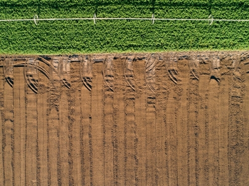 Patterns of green and brown in farm paddock - Australian Stock Image