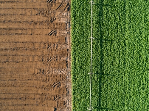 Patterns of green and brown in farm paddock - Australian Stock Image