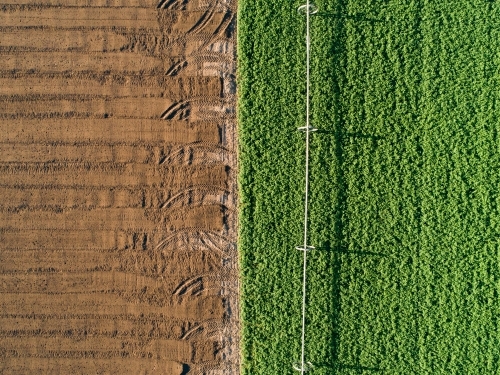 Patterns of green and brown in farm paddock