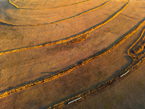 Patterns on the ground after machines have cut grass in a paddock - Australian Stock Image