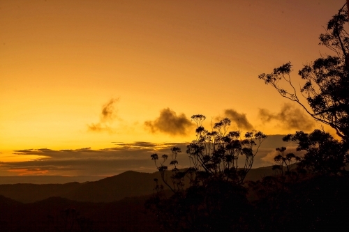 Peaceful Golden Sunset with Tree and Distant Mountain Silhouette - Australian Stock Image