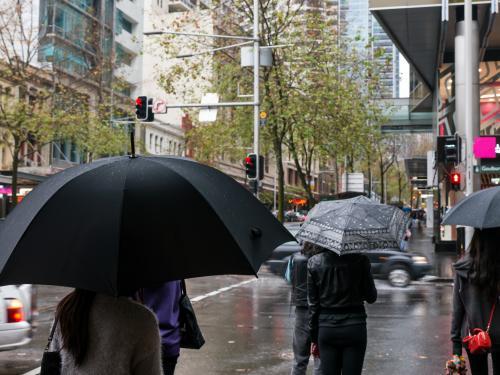 Pedestrians with umbrellas on a wet and cold Sydney day - Australian Stock Image