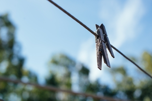 Pegs on clothesline - Australian Stock Image