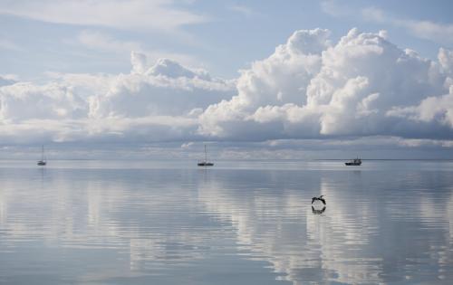 Pelican flying low over the bay towards three boats on horizon - Australian Stock Image