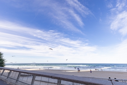 People and seagulls at Main Beach at Surfers Paradise on the Gold Coast - Australian Stock Image