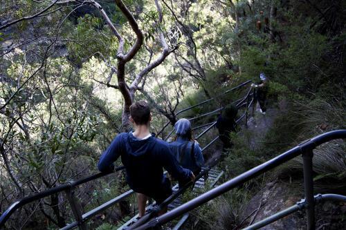 People going down stairs on a bush walk