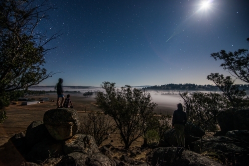 People looking out over paddock night time fog