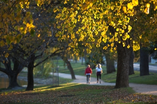 People on a walking track in Autumn - Australian Stock Image