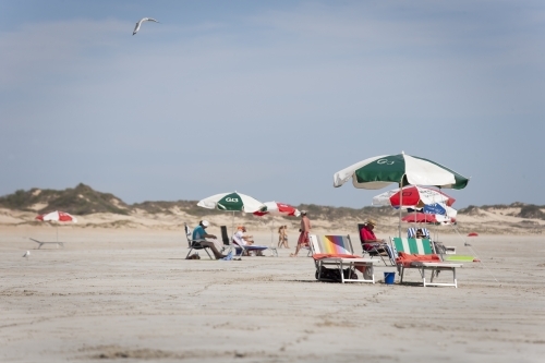 People relaxing in deckchairs on beach - Australian Stock Image