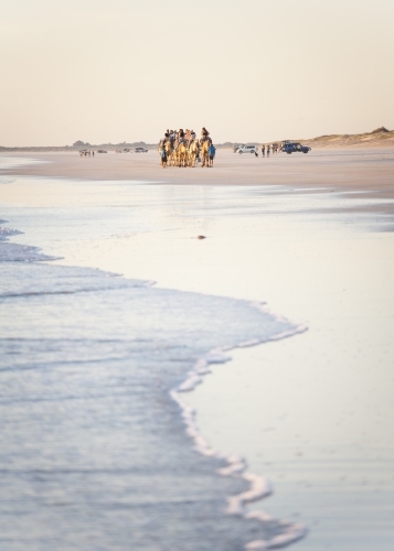 People riding camels in distance on beach - Australian Stock Image