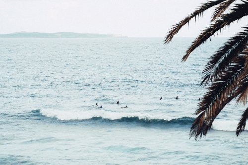 People surfing in the ocean - Australian Stock Image