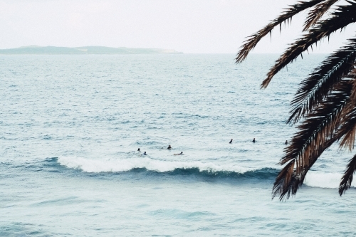 People surfing in the ocean