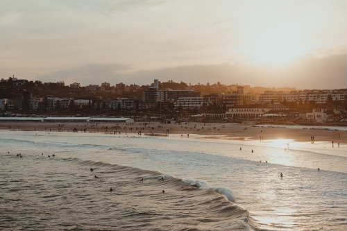 People swimming and surfing at Bondi beach at sunset.