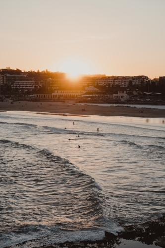 People swimming and surfing at Bondi beach at sunset. - Australian Stock Image