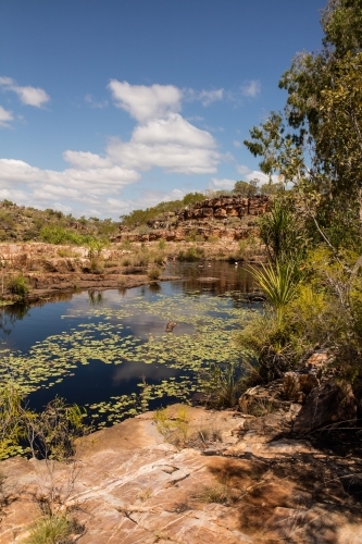 People swimming in a Kimberley Waterhole - Australian Stock Image