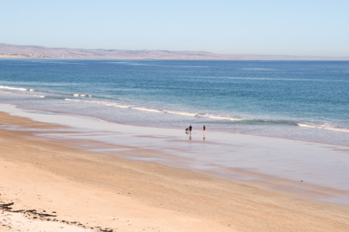 People walking on beach with their dog, Moana Beach, South Australia - Australian Stock Image