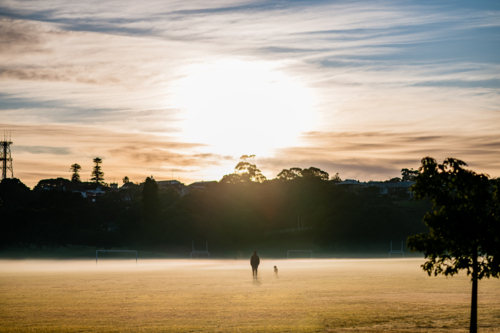 person and dog walking through misty park at sunrise - Australian Stock Image