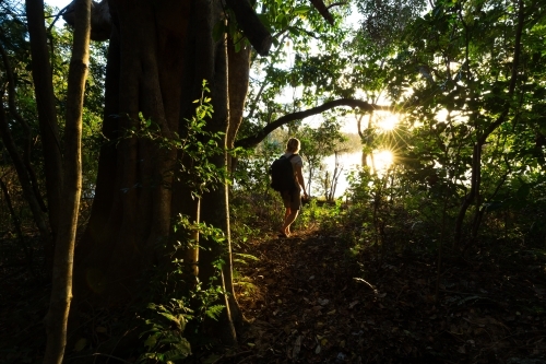Person carrying a backpack walking through bush - Australian Stock Image
