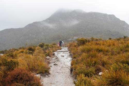 Person hiking on a lonely track at Cradle Mountain - Australian Stock Image