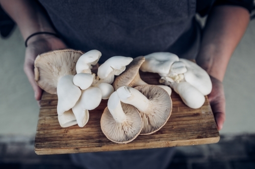 Person holding a wooden board with wild mushrooms