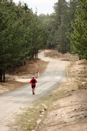 Person running down trail in the forest - Australian Stock Image