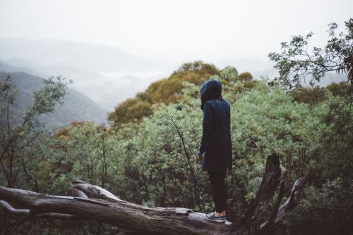 Person stadning on a fallen tree looking into the bush - Australian Stock Image