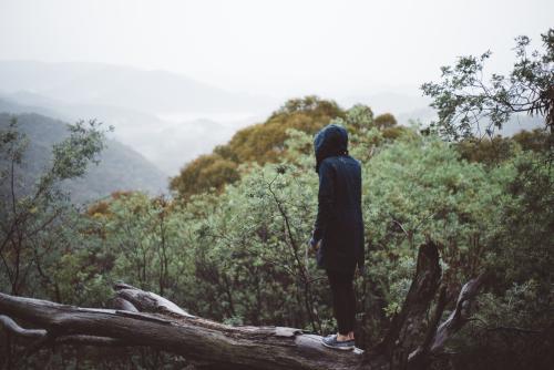 Person stadning on a fallen tree looking into the bush