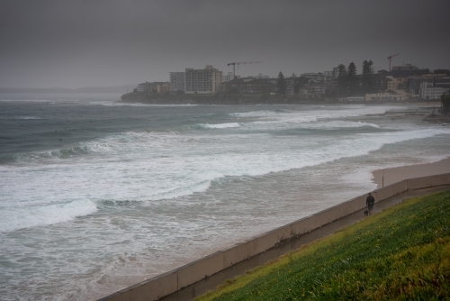 Person walking a dog in the rain along the beachside walking track in Cronulla