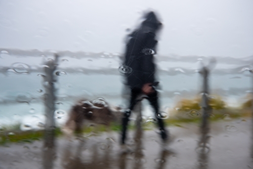 Person walking dog in the rain, shot through car window - Australian Stock Image