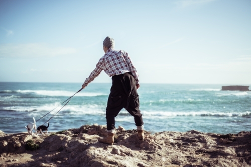 Person walking two small dogs along rocky coastline - Australian Stock Image