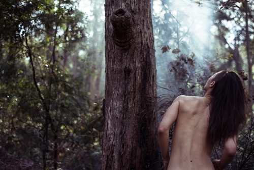Person with nature in forest - Australian Stock Image