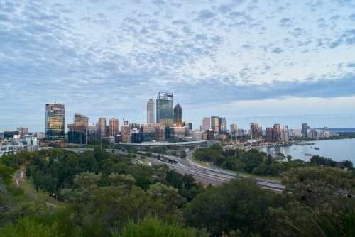 Perth City Skyline from King's Park in the evening. - Australian Stock Image