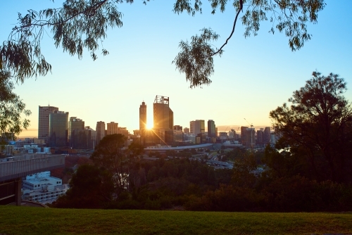 Perth City Sunrise framed by trees in King's Park. - Australian Stock Image