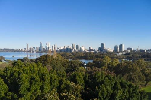 Perth Skyline Behind Trees Aerial