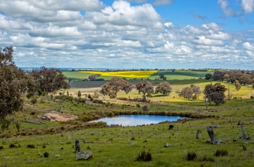 Picturesque rural farmlands in Central West NSW for as far as the eye can see. - Australian Stock Image
