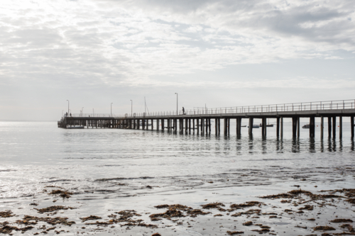 Pier on a calm morning at low tide with a person fishing - Australian Stock Image