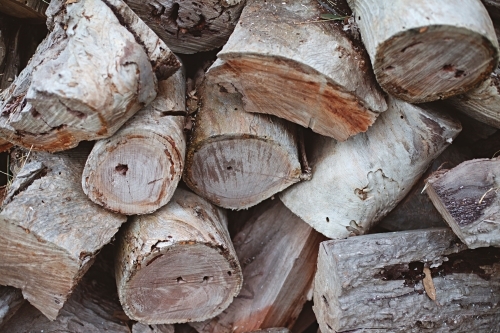 Pile of firewood - Australian Stock Image
