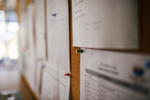 Pin in sheet of paper on a notice board - Australian Stock Image