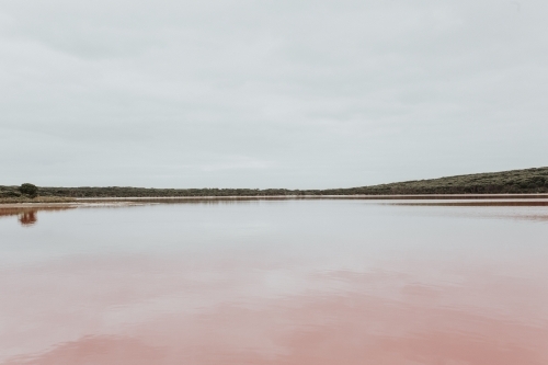 Pink lake - Australian Stock Image